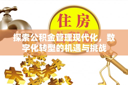 阿克陶探索公积金管理现代化，数字化转型的机遇与挑战