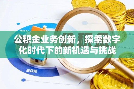 阿克陶公积金业务创新，探索数字化时代下的新机遇与挑战