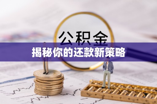 阿克陶揭秘你的还款新策略