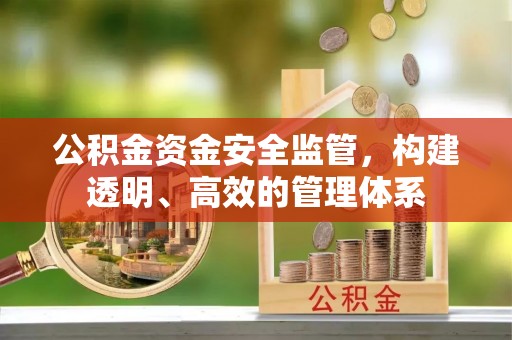 阿克陶公积金资金安全监管，构建透明、高效的管理体系
