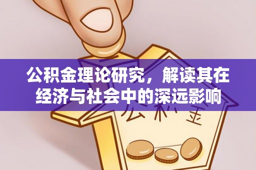 阿克陶公积金理论研究，解读其在经济与社会中的深远影响