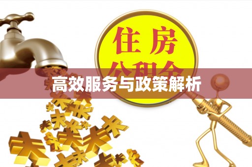 阿克陶高效服务与政策解析