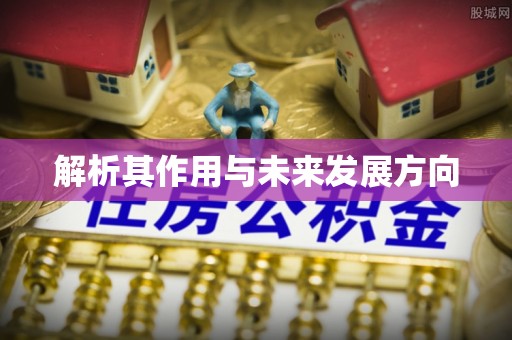 阿克陶解析其作用与未来发展方向
